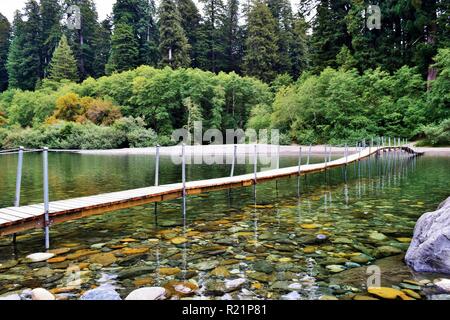 Le Smith River à Jedediah Smith Redwoods State Park Banque D'Images