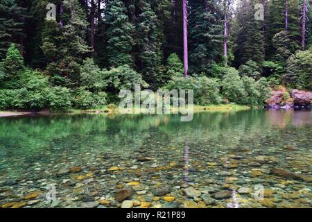 Le Smith River à Jedediah Smith Redwoods State Park Banque D'Images