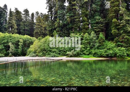 Le Smith River à Jedediah Smith Redwoods State Park Banque D'Images