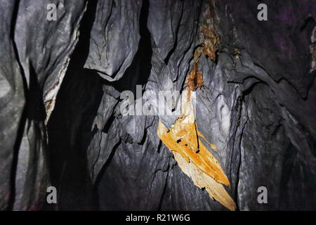 Formations rocheuses de calcaire gris avec speleogens spéléolites rougeâtre et de début de stalactites dans St.Paul's Underground River Cave. Puerto Princes Banque D'Images