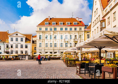 Vieille ville de Tallinn, le Town Hall Square. Tallinn, Tartu, Estonie, de comté des États baltes, l'Europe. Banque D'Images