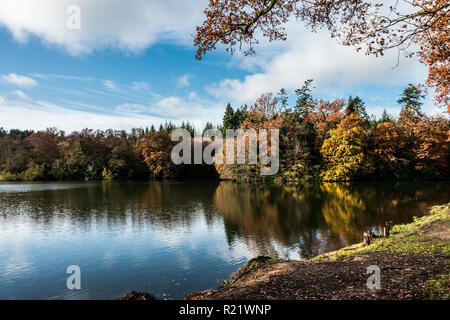 Lac de Shearwater en automne Banque D'Images