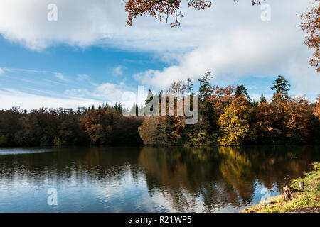 Lac de Shearwater en automne Banque D'Images