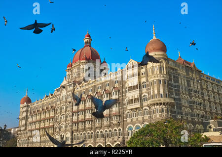 Le Taj Mahal Palace Hotel à Mumbai, en Inde, la cible d'une attaque terroriste en 2008, entouré par un troupeau de pigeons Banque D'Images