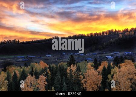 Le Xinjiang, Xinjiang, Chine. 15 Nov, 2018. Le Xinjiang, Chine-Baihaba ou Blanc Haba Village, est situé à la frontière entre la Chine et le Kazakhstan. Il n'y a pas de bus pour ce village, si des dispositions de transport doivent être faites à partir de Kanas, l'une des plus ville touristique dans le nord du Xinjiang. Crédit : SIPA Asie/ZUMA/Alamy Fil Live News Banque D'Images