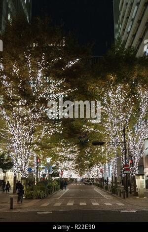 15 novembre 2018 - Tokyo, Japon - Le voyant lumineux s'allument le quartier d'affaires de Marunouchi de Tokyo. Cette année, 1 000 000 couleur champagne de lumières servent à allumer Yurakucho et Marunouchi Nakadori Street qui est l'un des plus populaires points d'illumination à Tokyo pendant la saison de Noël. L'éclairage est maintenu jusqu'au 17 février 2019. (Crédit Image : © Rodrigo Reyes Marin/Zuma sur le fil) Banque D'Images