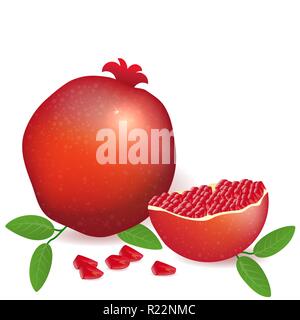 Vector illustration pleine de grenade et fruits tranchés.Healthy plein de vitamines des fruits végétarien. Carte de vœux, logo, arrière-plan pour nous modèle Illustration de Vecteur