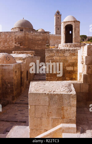 Alep, gouvernorat d'Alep, Syrie : l'intérieur de la Citadelle d'Alep, un grand château fort médiéval situé dans le centre de la vieille ville. Le site a été i Banque D'Images