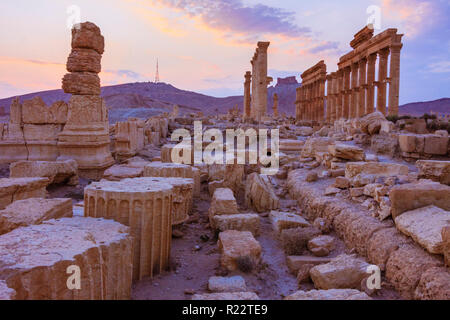 Palmyre, le Gouvernorat de Homs, Syrie - Mai 26th, 2009 : Grande Colonnade de Palmyre au coucher du soleil. Construites au cours de la deuxième et troisième siècle de notre ère, il s'étendait Banque D'Images