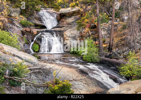 Foresta Falls est une série de cascades sur Crane Creek, près de Foresta dans Yosemite National Park, comté de Mariposa, en Californie. Banque D'Images