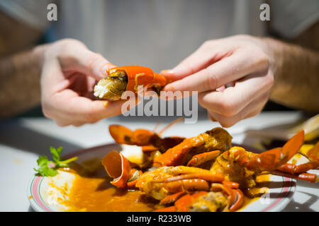 Les jeunes manger touristique style Singapour hot chili crab servi sur China Town. Plat de fruits de mer de l'Asie du sud-est. Banque D'Images