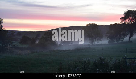 Près de sunrise Misty semer l'eau, Yorkshire, Angleterre, Royaume-Uni Banque D'Images