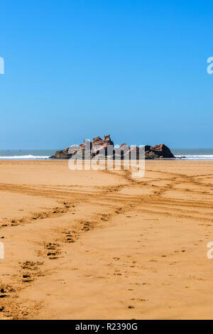 Vol de mouettes et bateaux reposant sur le coucher du soleil, la vieille ville, le port de Skala, Essaouira, Côte Atlantique, Maroc, Afrique du Nord, Afrique Banque D'Images