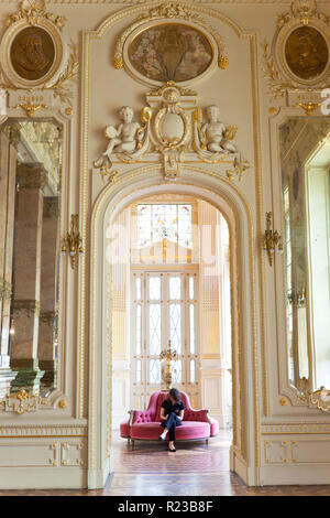 Rio de Janeiro, Brésil - Novembre 2011 : Théâtre municipal (Theatro Municipal), Rio de Janeiro, Brésil Banque D'Images