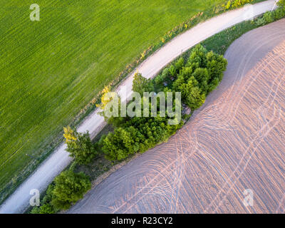 Drone Photo de la route entre les arbres en début de printemps coloré dans la campagne Village - champ fraîchement tondu d'un côté et champ cultivé sur t Banque D'Images