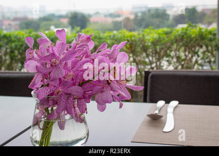 Belles orchidées dans un vase de verre Banque D'Images