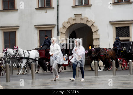 Jour de pluie humide à Vienne, Autriche Banque D'Images