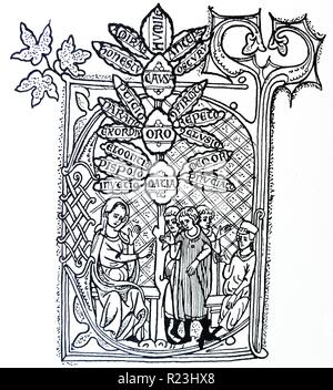 Illustration de la rhétorique l'enseignement. La tige de l'arbre se divise en trois grandes parties de la rhétorique- 'Causa", "Oratio" et "papier", alors que les feuilles symbolisent les sous-divisions de chaque partie. En date du 12e siècle Banque D'Images
