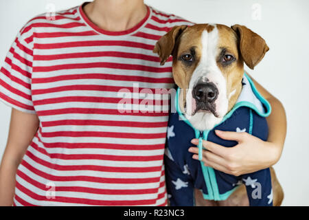 Personne et le chien dans stars and stripes costumes. Concept patriotique : les femmes et le chiot habillé en vêtements symboliques du drapeau américain Banque D'Images