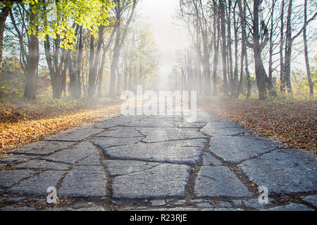 Vieux chemin de béton avec du brouillard et des rayons de soleil sur une journée ensoleillée d'automne Banque D'Images