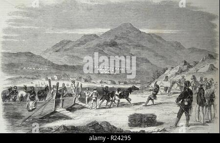 Gravure représentant le débarquement des chevaux Sikh à Odin Bay, Talien-Wan. Datée 1860 Banque D'Images