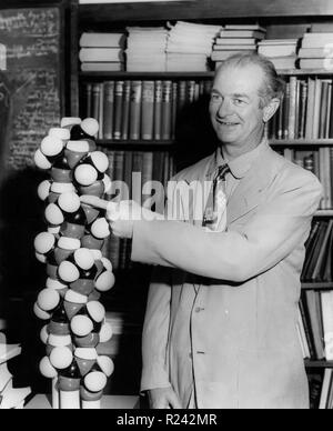 Linus Pauling debout devant une étagère pointant vers un modèle moléculaire 1954. Linus Pauling (1901-1994), chimiste américain. a remporté le 1954 et 1962 du Prix Nobel de chimie Banque D'Images