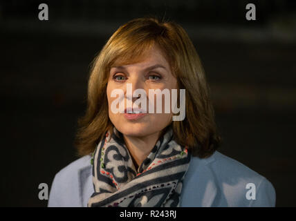 Journaliste, lecteur de nouvelles et animateur de télévision, Fiona Bruce, de rapport pour la BBC de Downing Street sur les derniers développements Brexit. Banque D'Images