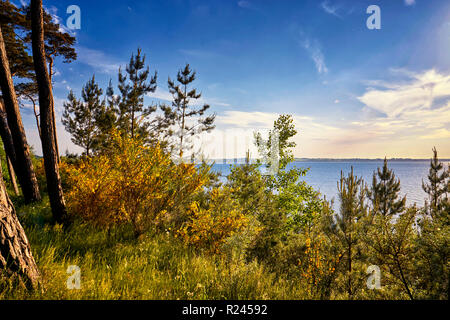 Vue depuis la falaise de la mer Baltique sur la mer Baltique. Banque D'Images