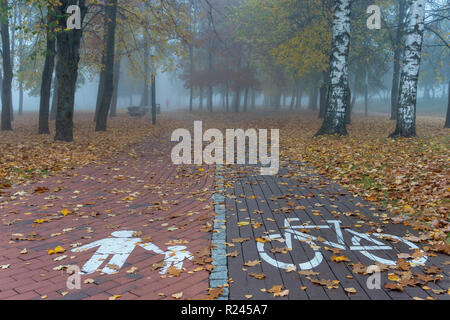 Passage à vide et la piste cyclable en parc avec un marquage blanc, couvert de feuilles jaunes. Vu de l'angle élevé, avec parc d'arbres brumeux dans zone Banque D'Images