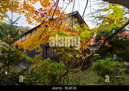 Le long de la rue Bukeyashiki à Kakunodate, du Japon à l'apogée de la couleur de l'automne. Banque D'Images