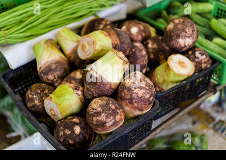 Racines de taro frais sur le marché local à la ville de Krabi. La cuisine thaïlandaise traditionnelle des ingrédients frais. Banque D'Images