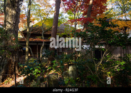 Une maison japonaise traditionnelle le long de la rue Bukeyashiki au cours de la hauteur de chute en couleur, au Japon. Kakunodate Banque D'Images