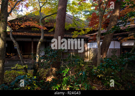 Une maison japonaise traditionnelle le long de la rue Bukeyashiki au cours de la hauteur de chute en couleur, au Japon. Kakunodate Banque D'Images