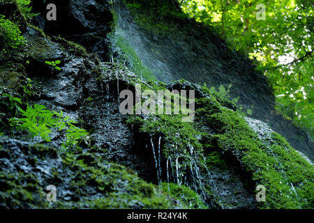 'Lotenbachklamm" près de la Gorge de Wutachtal dans la Forêt Noire Banque D'Images