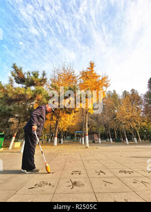 Shijiazhuang, Province de Hebei en Chine. 16 Nov, 2018. Les pratiques d'un homme en calligraphie Yuxi park à Shijiazhuang, capitale de la province de Hebei en Chine du nord, le 16 novembre 2018. Credit : Liu Peiran/Xinhua/Alamy Live News Banque D'Images