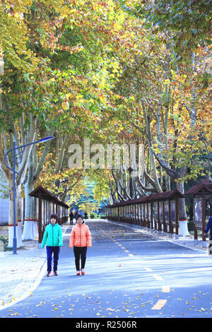 Shijiazhuang, Province de Hebei en Chine. 16 Nov, 2018. Les gens marchent dans Yuxi park à Shijiazhuang, capitale de la province de Hebei en Chine du nord, le 16 novembre 2018. Credit : Liu Peiran/Xinhua/Alamy Live News Banque D'Images