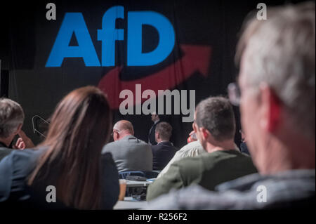 Magdeburg, Allemagne. 16 Nov, 2018. Les membres de l'AfD suivre le débat à l'Assemblée électorale de l'Alternative pour l'Allemagne (AfD). Crédit : Michael Kappeler/dpa/Alamy Live News Banque D'Images