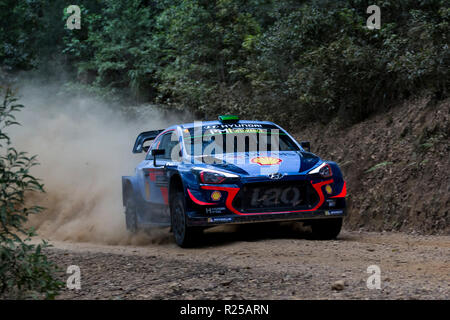 Coffs Harbour, New South Wales, Australie. 17 novembre 2018, Coffs Harbour, Nouvelle-Galles du Sud, Australie ; FIA World Rally Championship de l'Australie ; Hyundai Mobis Shell World Rally Team Hyundai i20 conduit par Hayden Paddon et conduit par Sebastian Marshall lors de l'étape 2 : Urunga Crédit d'Action Plus Sport Images/Alamy Live News Banque D'Images