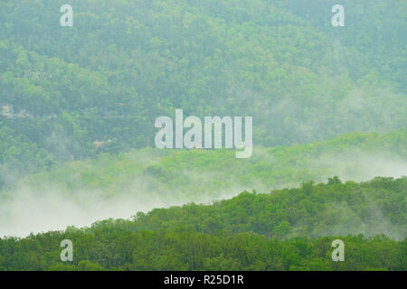 Les crêtes dans le brouillard de la vallée de la rivière Buffalo de Mt. Sherman, Mt. Sherman, Arkansas, États-Unis Banque D'Images