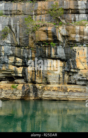 Falaises de la rivière Buffalo près de Pruitt, Buffalo River Landing, Arkansas, États-Unis Banque D'Images