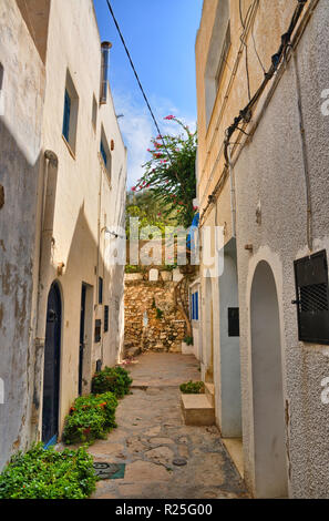 Ruelle de l'ancienne médina de Hammamet, Tunisie, Méditerranée, Afrique, HDR Banque D'Images