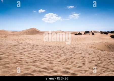 Les dunes côtières dans la plage de Maspalomas, Gran Canaria Island, Îles Canaries, Espagne. Banque D'Images