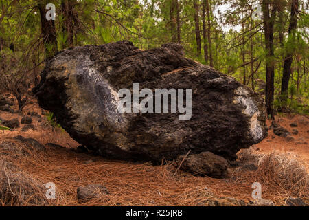 Grand rocher volcanique reposant sur un sol recouvert de forêts dans les aiguilles de pin dans la forêt de pins près de Tijoco Alto, Tenerife, Canaries, Espagne Banque D'Images