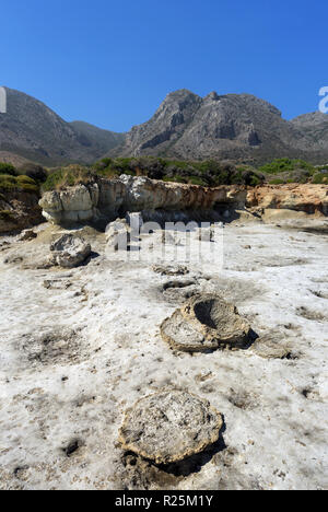 Le fossile de coquilles pétrifiées geopharm de Saint-nicolas en Grèce Banque D'Images