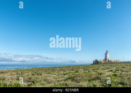 PATERNOSTER, AFRIQUE DU SUD, le 21 août 2018 : Le phare de Cape Columbine dans la réserve naturelle de Cape Columbine près de Paternoster. Les fleurs sauvages sont visi Banque D'Images