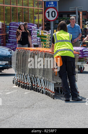 Femme ou d'un employé la collecte et en poussant un chariot dans le parking dans un grand magasin de bricolage. trolley et point de ramassage à un magasin de détail. Banque D'Images