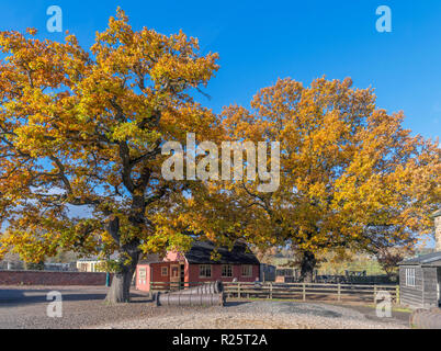 Couleurs d'automne dans la fosse de la mine et du Village, Beamish Open Air Museum, Beamish, County Durham, England UK Banque D'Images