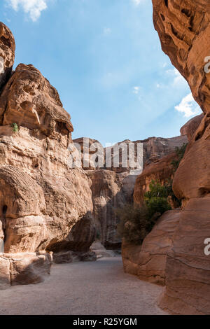 Dans les falaises de grès Siq Gorge, entrée de la ville nabatéenne de Pétra, près de Wadi Musa, Jordan Banque D'Images