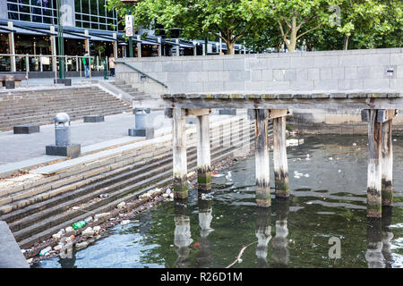 Bouteille plastique la pollution dans le fleuve Yarra de Melbourne, Victoria, Australie Banque D'Images