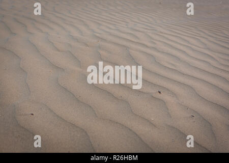 Close up de remous à dunes de sable dans le désert du Rajasthan en Inde occidentale Banque D'Images